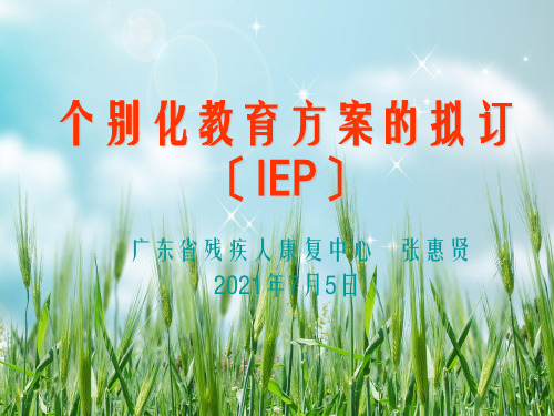 个别化教育计划的拟订(张惠贤)幻灯片PPT