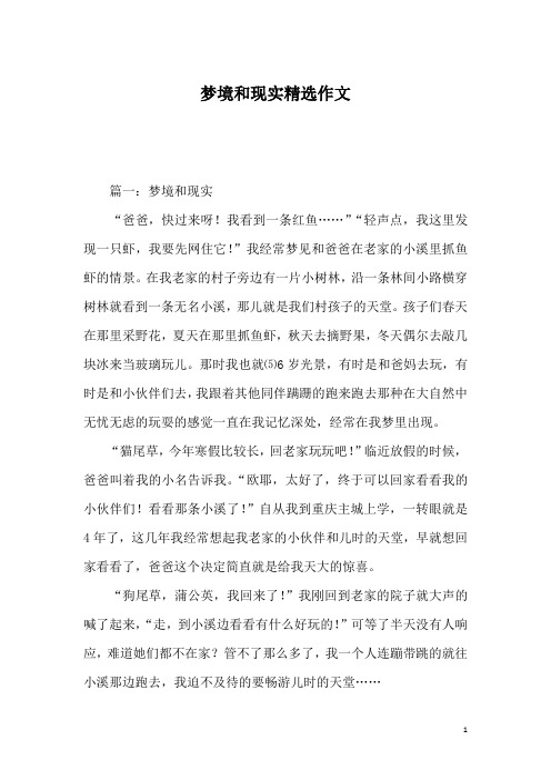 梦境和现实精选作文