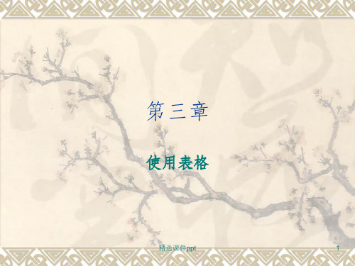 《表格和页面布局》PPT课件
