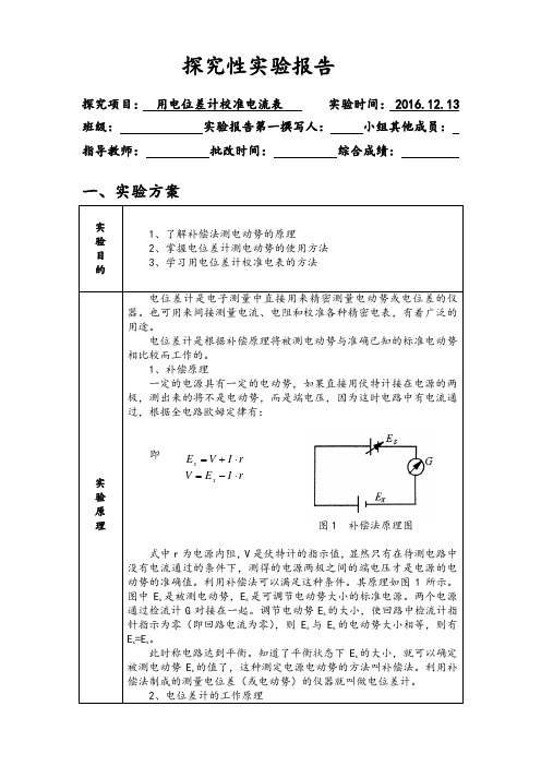 探究性实验报告
