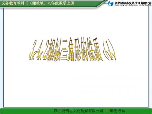 3.4.2相似三角形的性质(1)