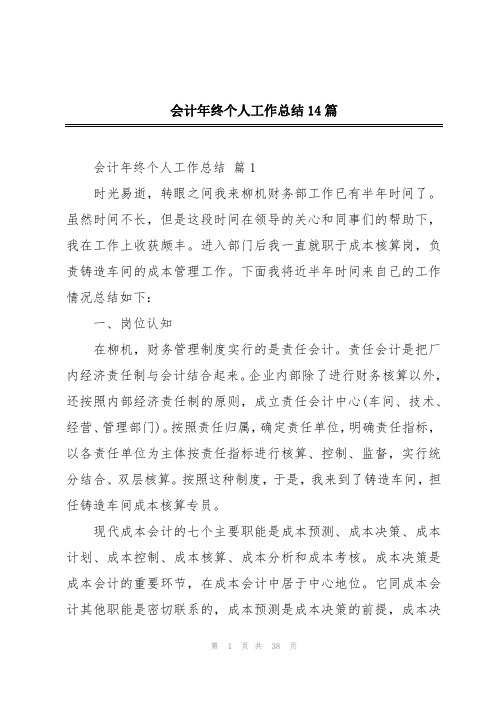 会计年终个人工作总结14篇