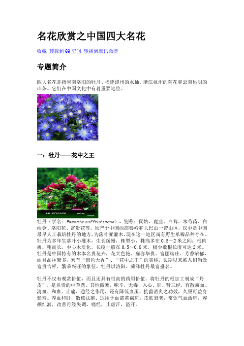 名花欣赏之中国四大名花