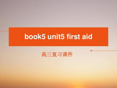 人教版book5unit5 高三复习课件