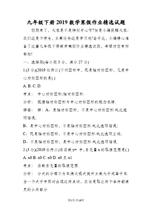 九年级下册数学寒假作业精选试题