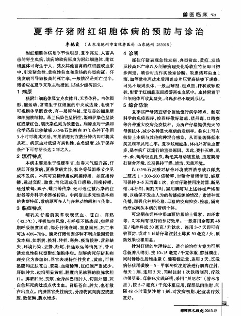 夏季仔猪附红细胞体病的预防与诊治