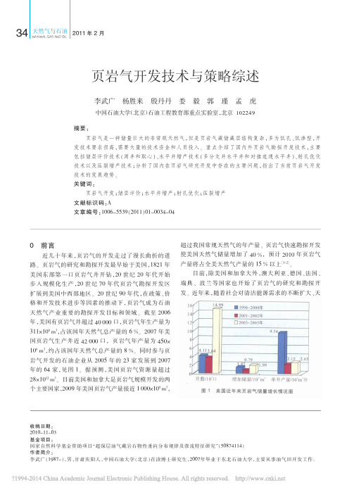 页岩气开发技术与策略综述_李武广