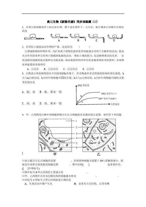 最新-高三生物新陈代谢训练题2 精品