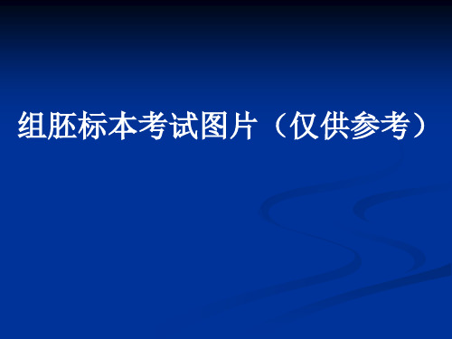 组胚标本考试