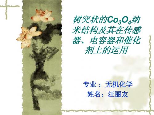 树突状的Co3O4纳米结构及其在传感器、电容器和催化剂上的运用
