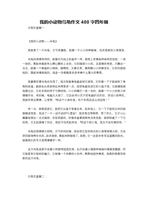 我的小动物乌龟作文400字四年级