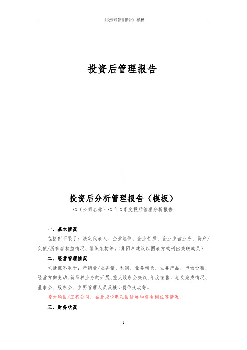 《投资后管理报告》-模板