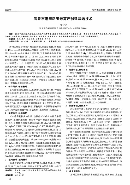 酒泉市肃州区玉米高产创建栽培技术