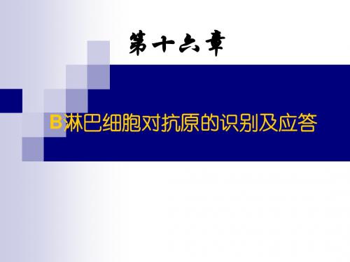 第16章 -B淋巴细胞对抗原的识别及应答lxy-1