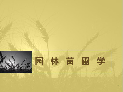 园林苗圃学PPT课件