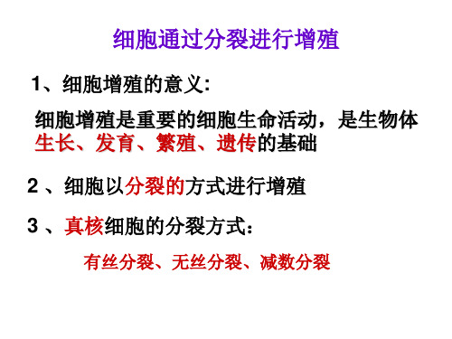 细胞通过分裂进行增殖