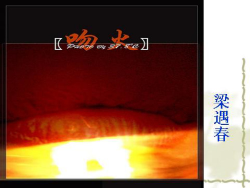 吻火ppt1 人教课标版