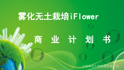 雾化无土栽培iFlower.商业计划书
