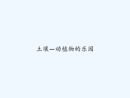 土壤—动植物的乐园 PPT