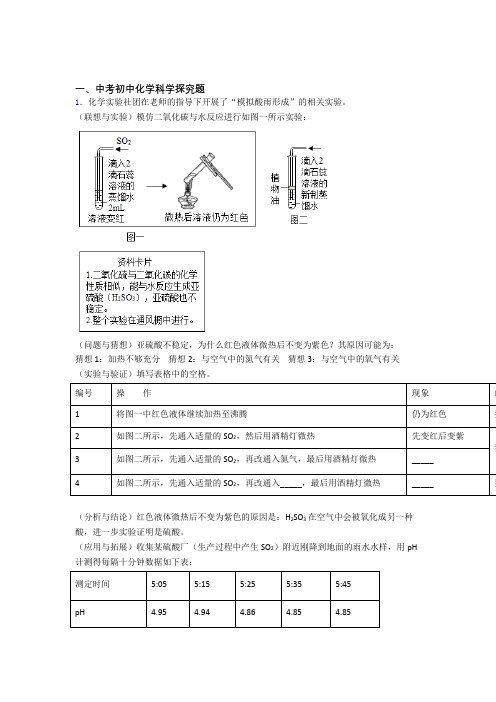 2020-2021备战中考化学探究题-经典压轴题附详细答案