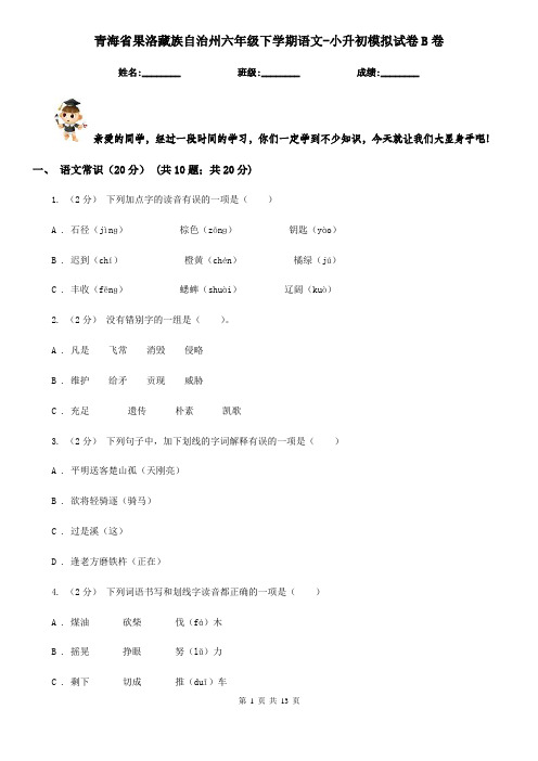 青海省果洛藏族自治州六年级下学期语文-小升初模拟试卷B卷