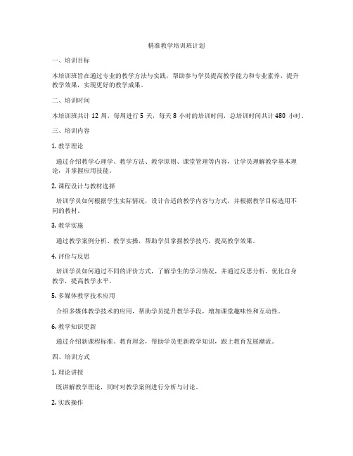 精准教学培训班计划