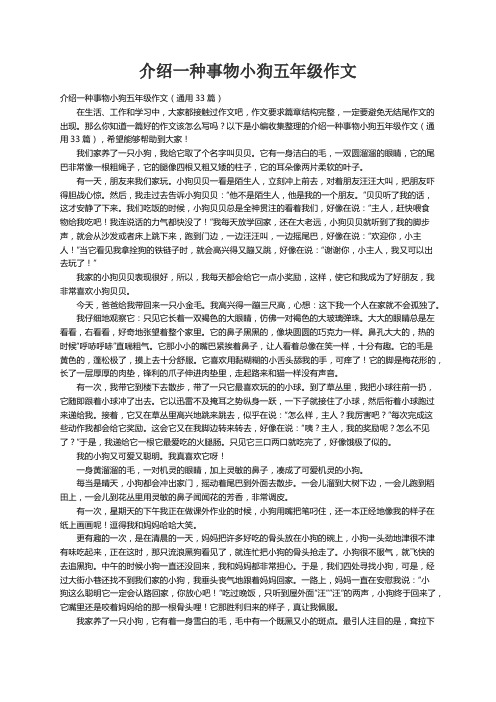 介绍一种事物小狗五年级作文（通用33篇）