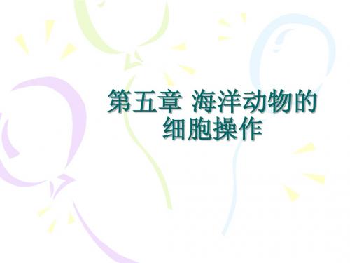 第五章 海洋动物的细胞操作