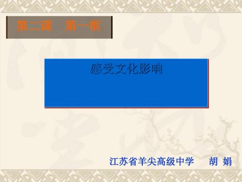 感受文化影响PPT课件4 人教课标版