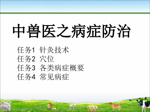 中兽医之病症防治