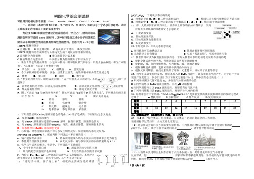 初四化学综合测试题