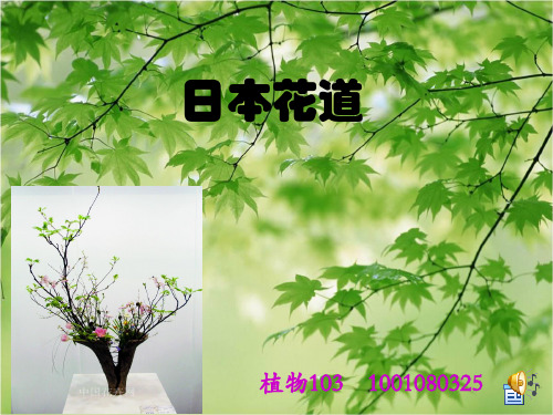 日本花道PPT课件