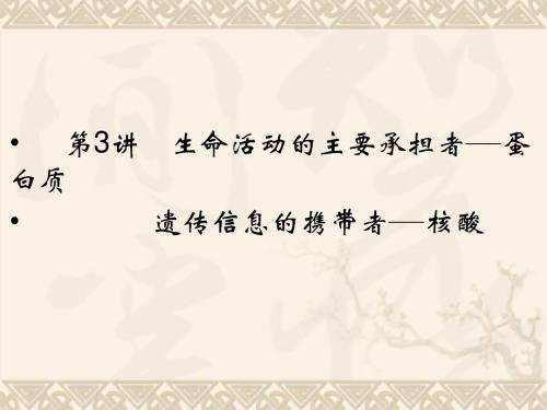 高考生物一轮复习资料 第一单元 第3讲生命活动的主要承担者课件 新人教版必修1