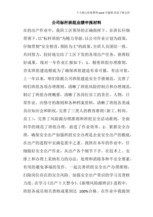 公司标杆班组业绩申报材料