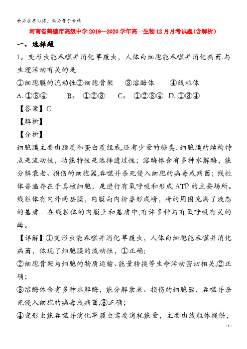 鹤壁市高级中学2019_2020学年高一生物12月月考试题含解析