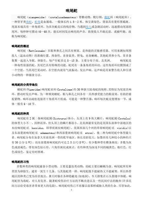 响尾蛇