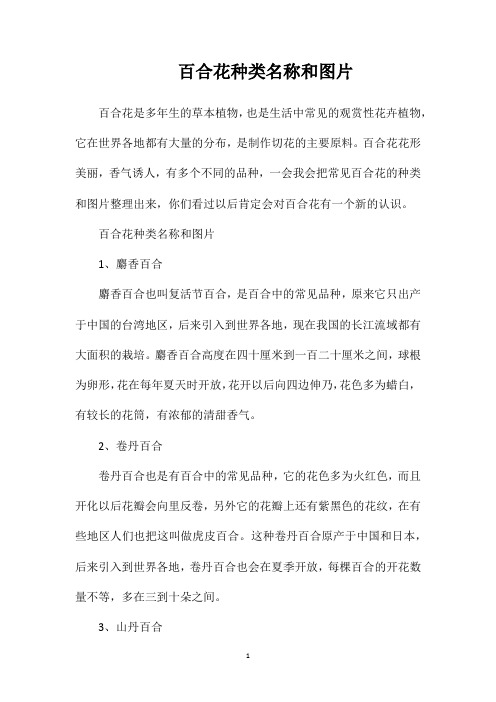 百合花种类名称和图片