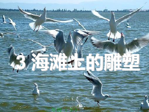 西师大版语文四年级上册第3课《海滩上的雕塑》ppt课件