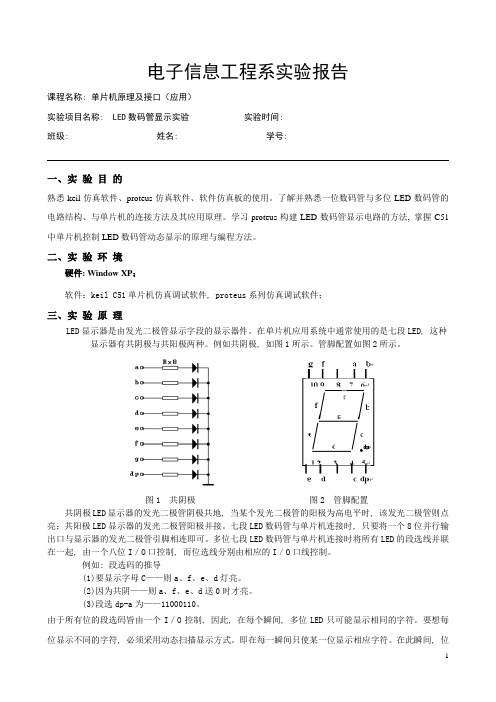 LED数码管显示实验