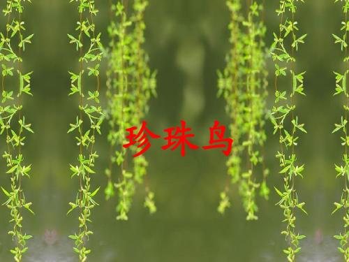 新版苏教版四年级语文上册珍珠鸟 第一课时课件