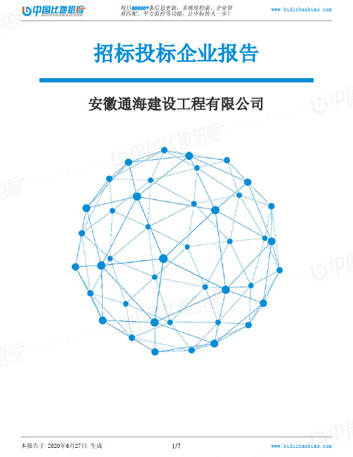 安徽通海建设工程有限公司-招投标数据分析报告