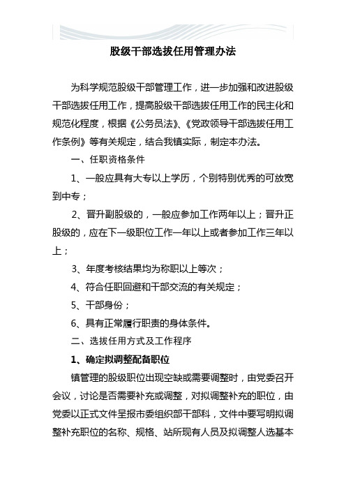 股级干部选拔任用管理办法[精品文档]