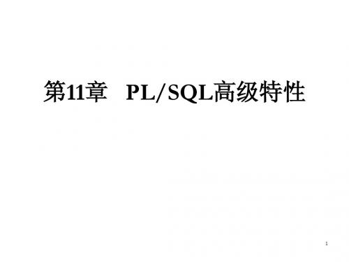 第11章PLSQL高级特性