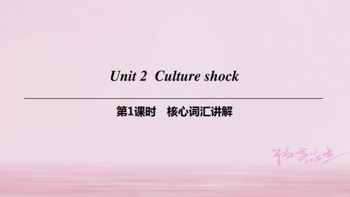 九年级英语下册Module1ExplorationsandexchangesUnit2Cultureshock(第1课时)核心词汇讲解课件牛津版