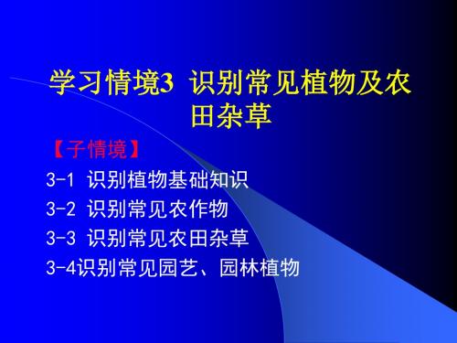 子情境3-1识别常见农田杂草