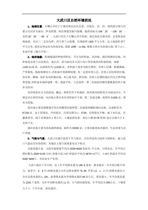 大武口区自然环境状况