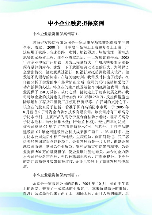 中小企业融资担保案例.doc