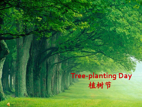 Planting-Day-植树节PPT课件