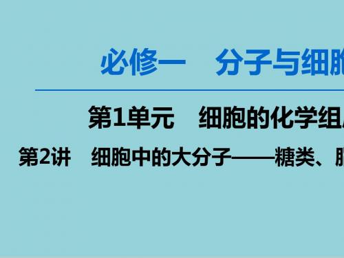 2020版高考生物一轮复习第1单元第2讲细胞中的大分子__糖类脂质和核酸课件苏教版必修1