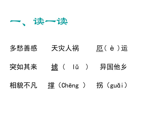 落难的王子(PPT)5-1